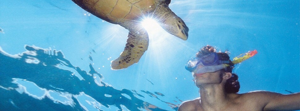 A man swimming with a turtle