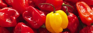 Peppers
