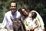 Family riding two horses