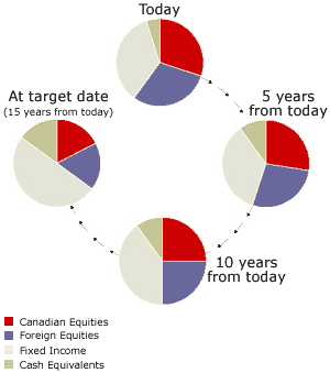 Vision fund asset mix changing over time