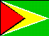 flag of Guyana