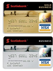 VISA Business Card