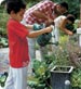Jeune garçon arrose son jardin