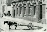 Horse in front of 188 Hollis Street Halifax 1870