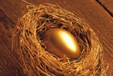 Golden egg in nest