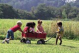 children pulling wagon in a field