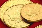 Gold maple leaf coins