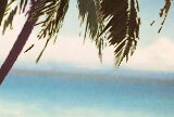 so_caribbean
