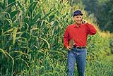 Un agriculteur dans un champ de maïs.
