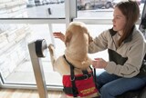 Jeune femme avec chien-guide