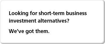Looking for Short-Term Business Investment Alternatives?