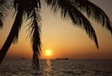 Bord de mer avec palmier au coucher du soleil