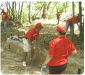 Volunteers working