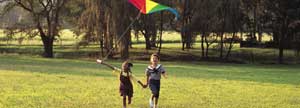 Kids playing with a kite