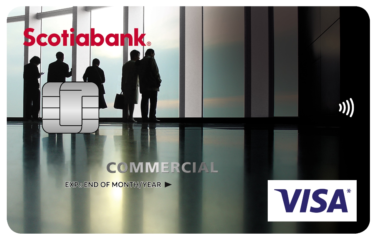 Visa Commercial Card