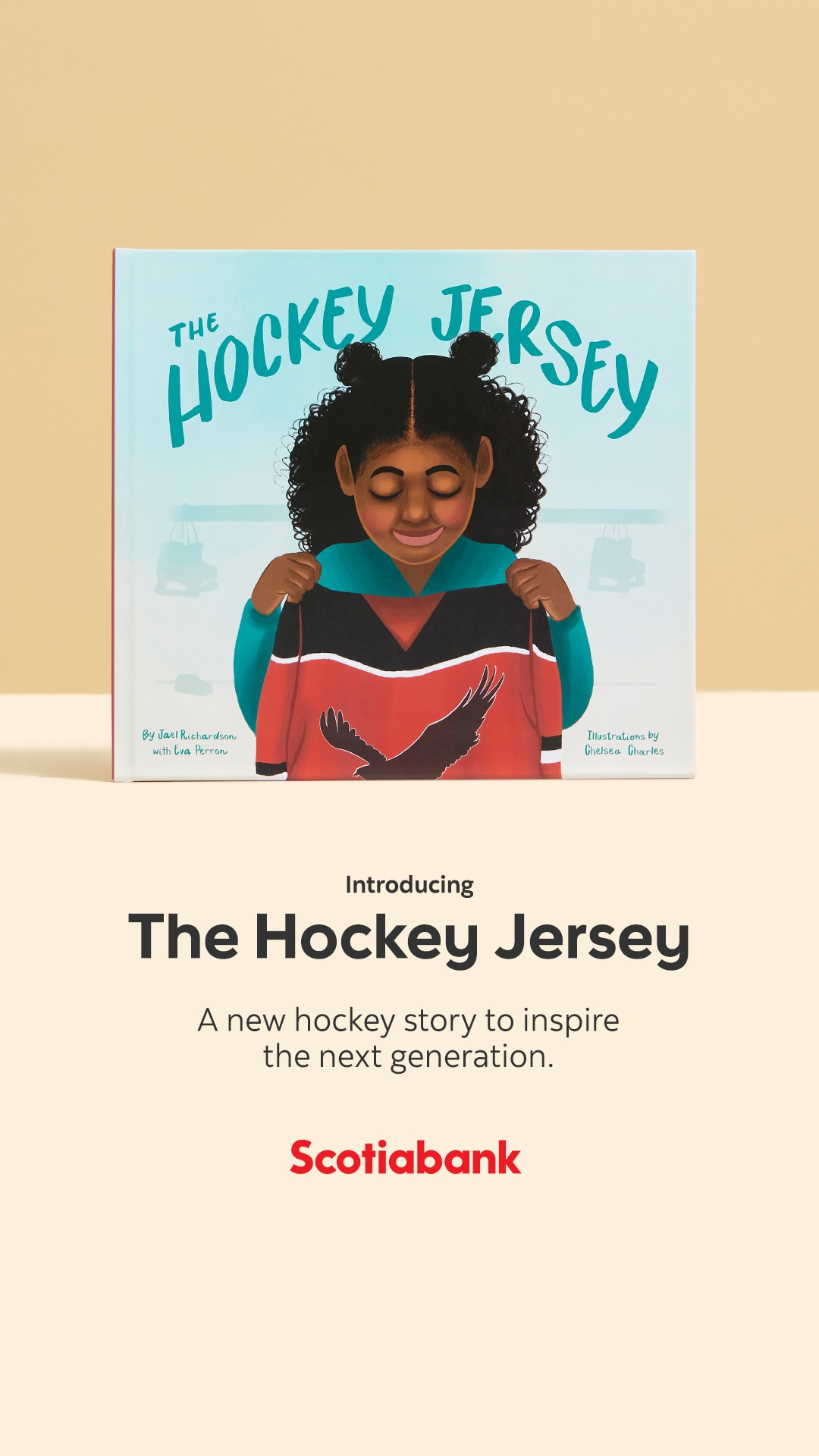 The Hockey Jersey Handbook: A Guide to Collecting and Caring For Jerseys  From Throughout the Game