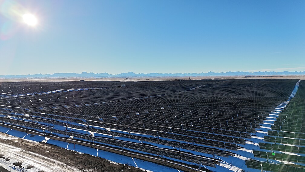 Alberta solar project provides Scotiabank with renewable electricity