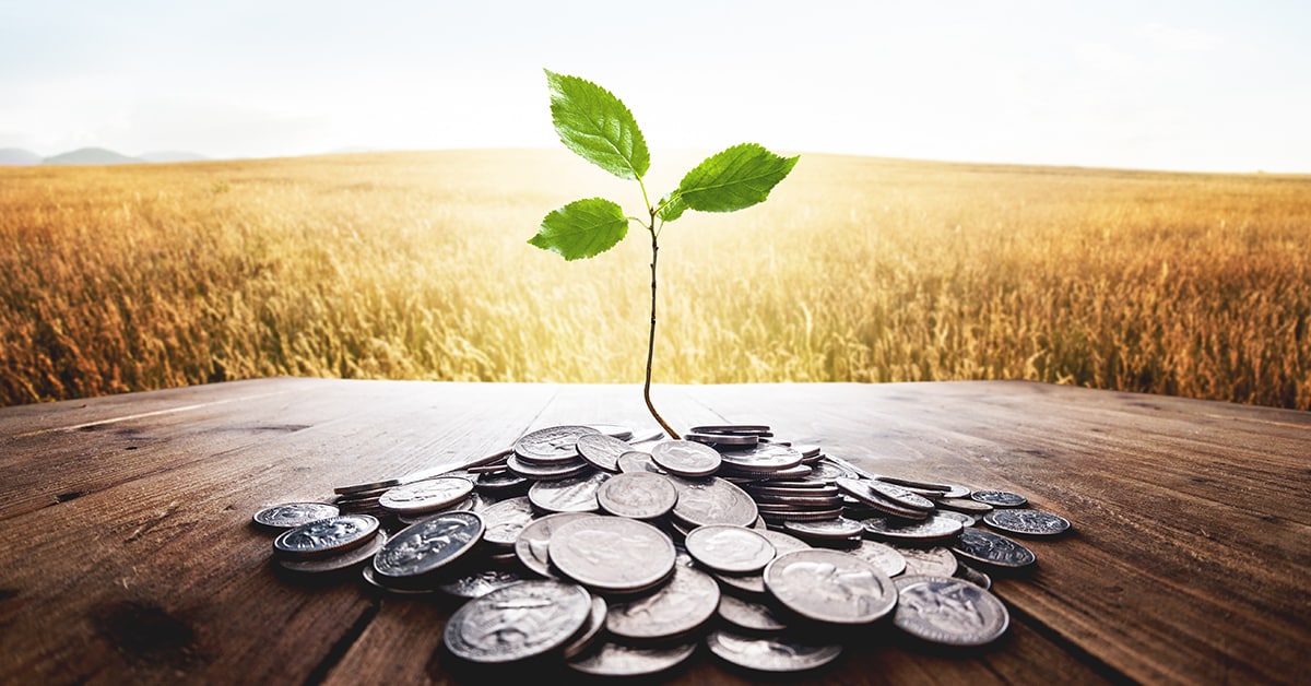 Plante poussant dans une pile de pièces de monnaie