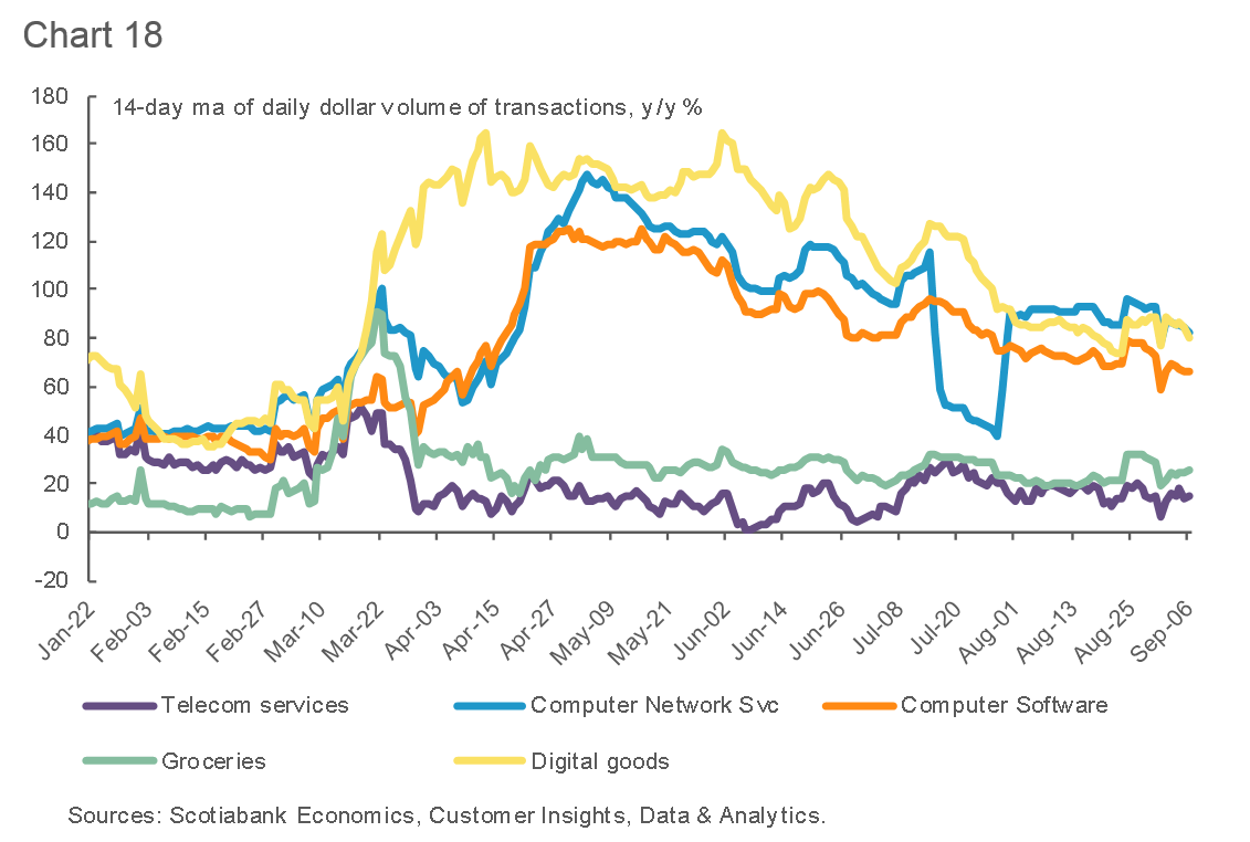 Tracking the Canadian Economy Through COVID19Insights from Customer