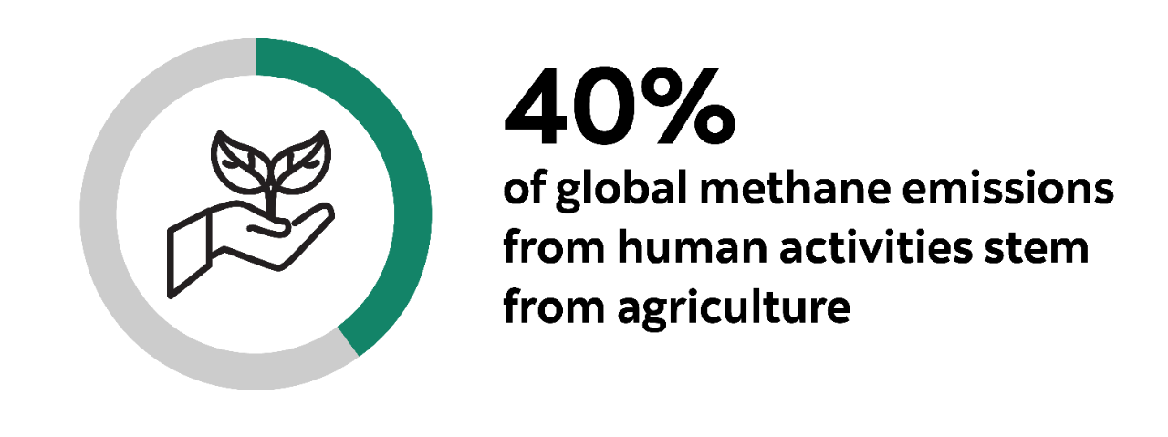 Woman standing in water