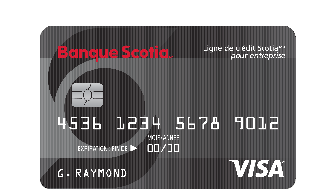 Visa Ligne de crédit Scotia pour entreprise