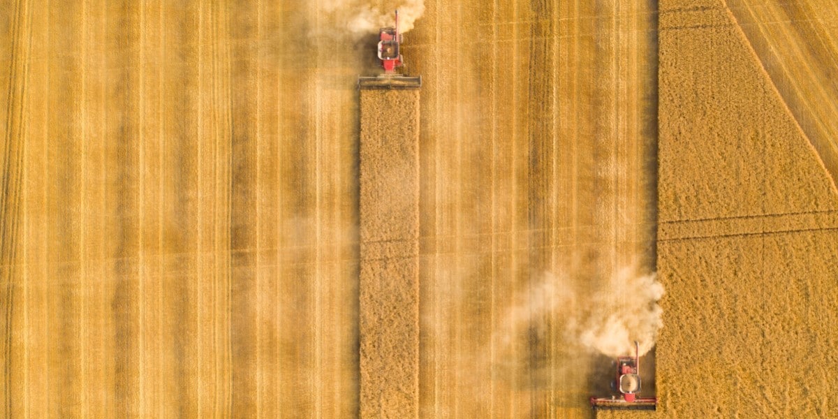 man working at his home office