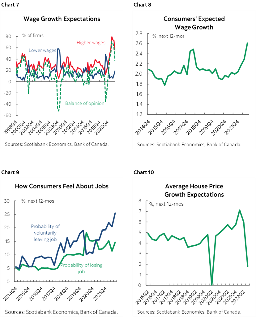 Chart 7: Wage Growth Expectations; Chart 8: Consumers' Expected Wage Growth; Chart 9:  How Consumers Feel About Jobs; Chart 10:  Average House Price Growth Expectations