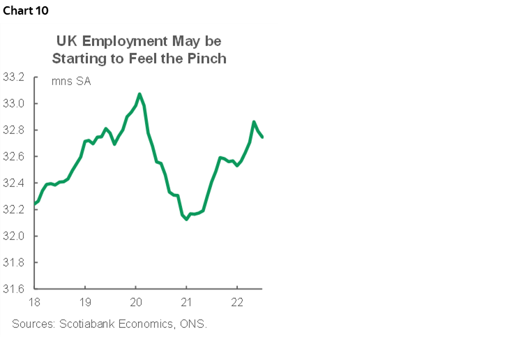 Chart 10: UK Employment May be Starting to Feel the Pinch
