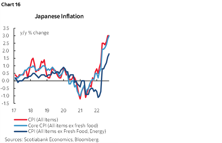 Chart 16: Japanese Inflation