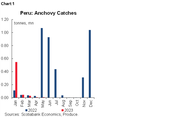Chart 1: Peru: Anchovy Catches