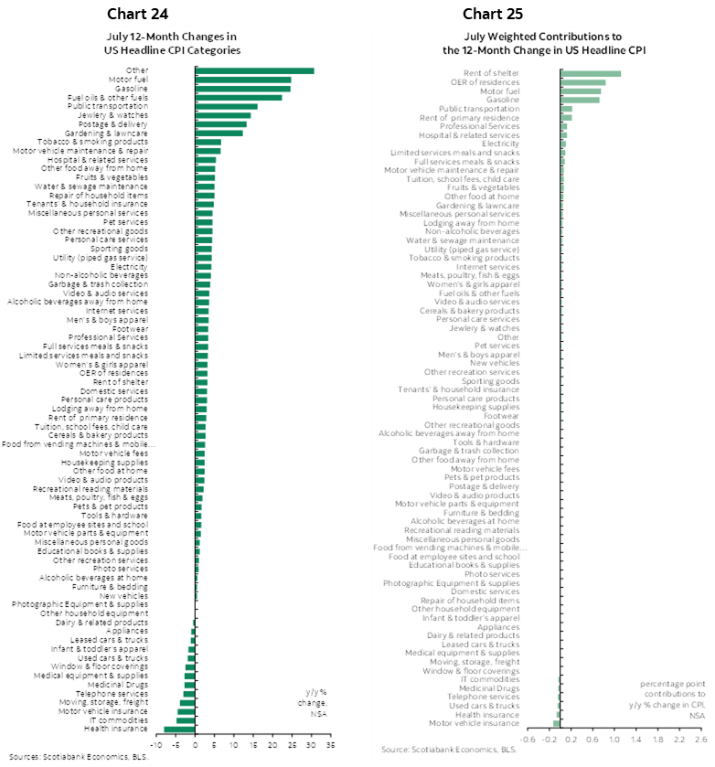 Chart 24: July 12-Month Changes in US Headline CPI Categories; Chart 25: July Weighted Contributions to the 12-Month Change in US Headline CPI
