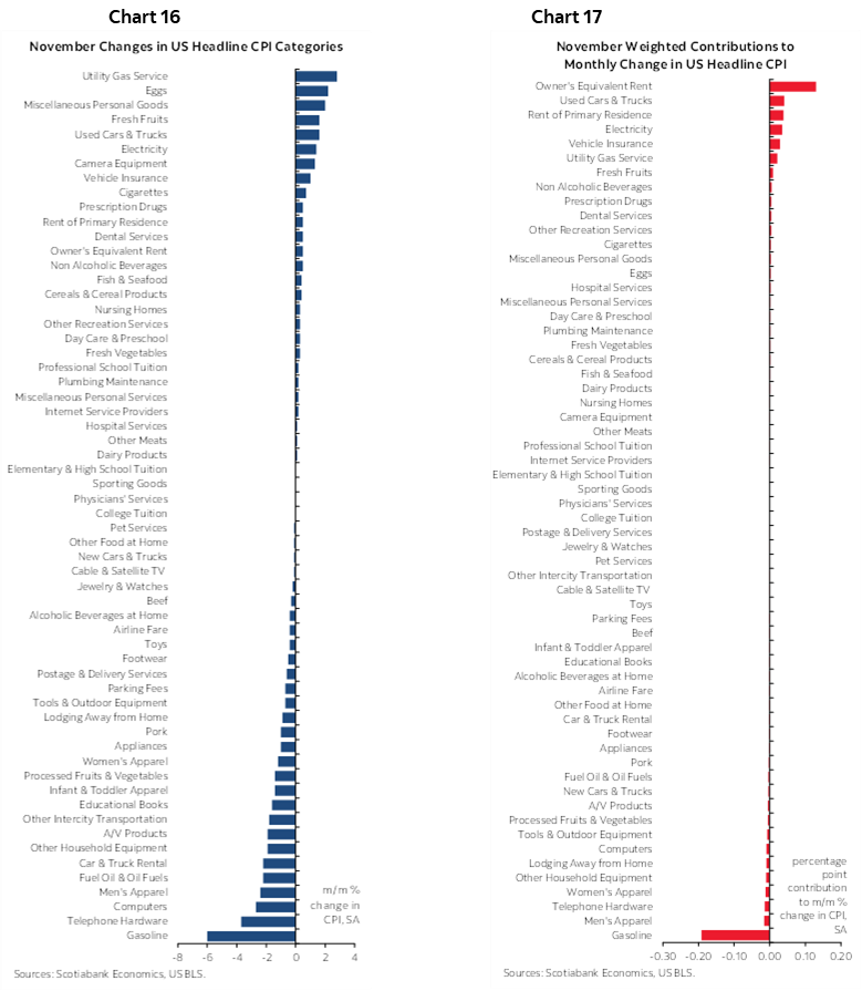 Chart 16: November Changes in US Headline CPI Categories; Chart 17: November Weighted Contributions to Monthly Change in US Headline CPI