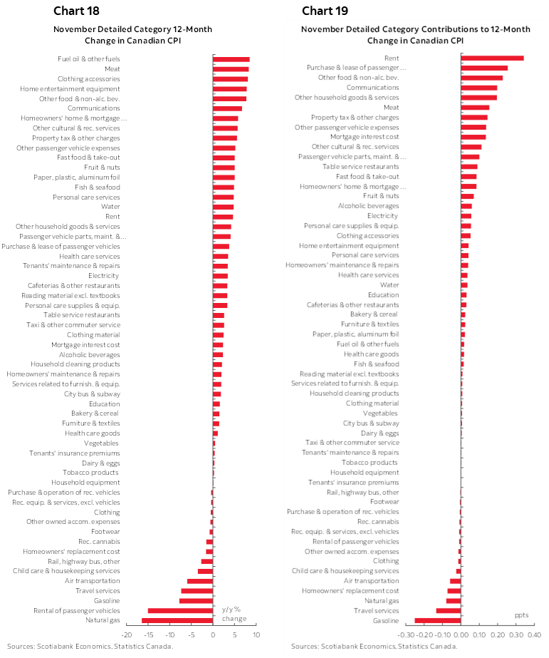 Chart 18: November Detailed Category 12-Month Change in Canadian CPI; Chart 19: November Detailed Category Contributions to 12-Month Change in Canadian CPI  