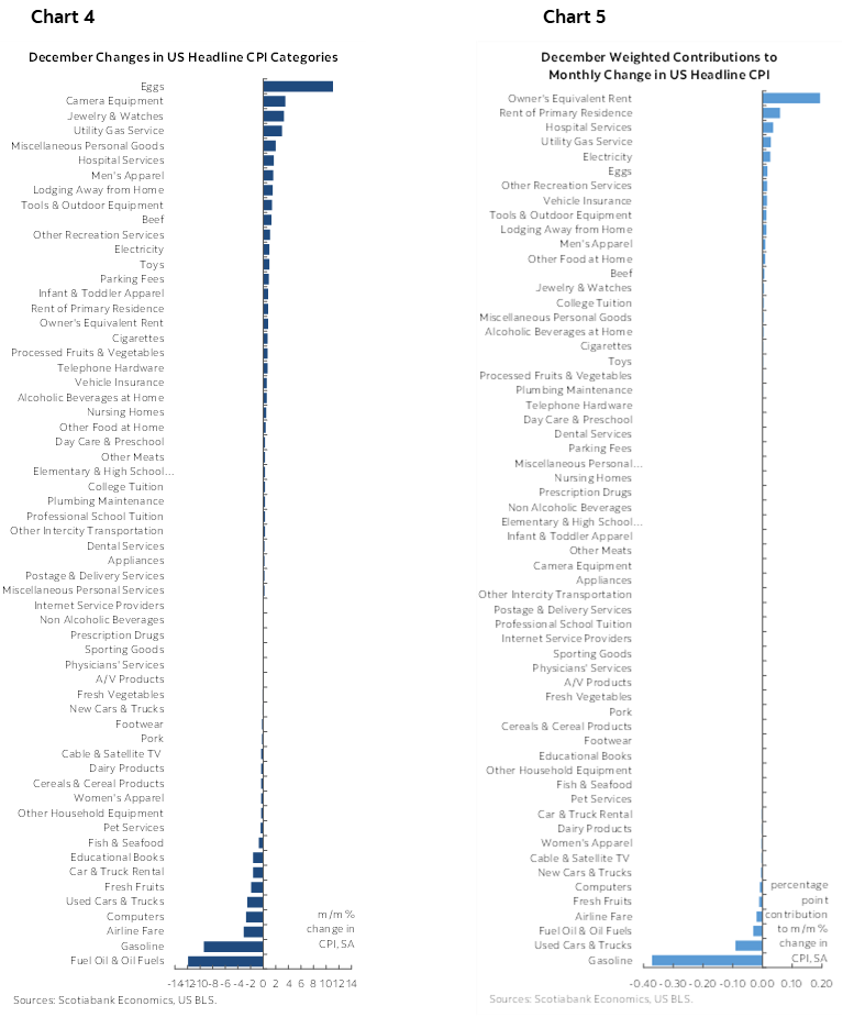 Chart 4: December Changes in US Headline CPI Categories; Chart 5: December Weighted Contributions to Monthly Change in US Headline CPI