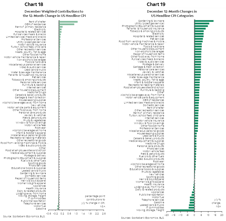 Chart 18: December Weighted Contributions to the 12-Month Change in US Headline CPI; Chart 19: December 12-Month Changes in US Headline CPI Categories 