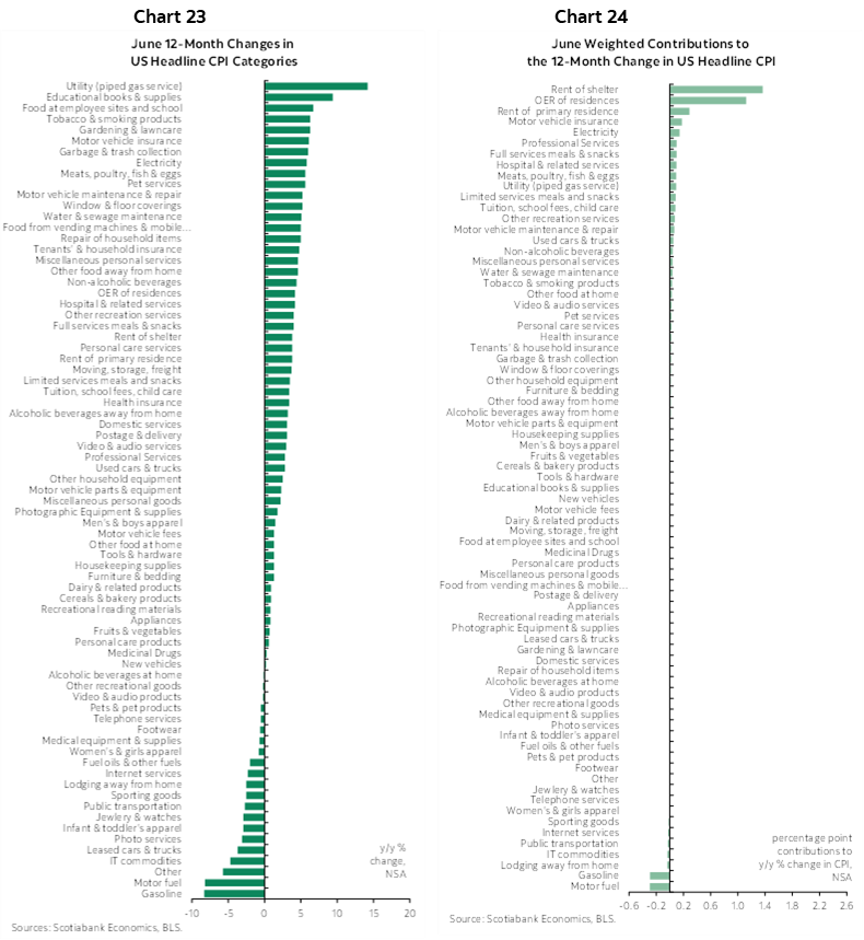 Chart 23: June 12-Month Changes in US Headline CPI Categories; Chart 24: June Weighted Contributions to the 12-Month Change in US Headline CPI