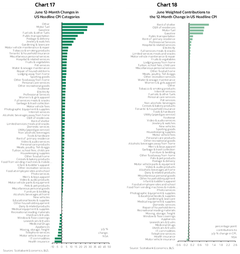 Chart 17: June 12-Month Changes in US Headline CPI Categories; Chart 18: June Weighted Contributions to the 12-Month Change in US Headline CPI