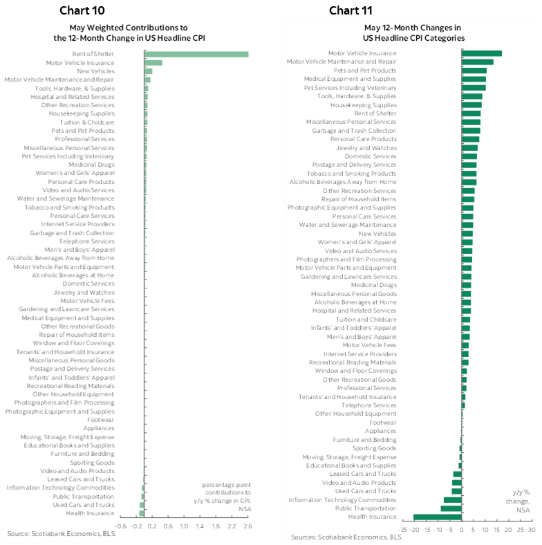 Chart 10: May Weighted Contributions to the 12-Month Change in US Headline CPI; Chart 11: May 12-Month Changes in US Headline CPI Categories 