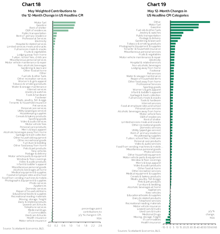 Chart 18: May Weighted Contributions to the 12-Month Change in US Headline CPI; Chart 19: May 12-Month Changes in US Headline CPI Categories 