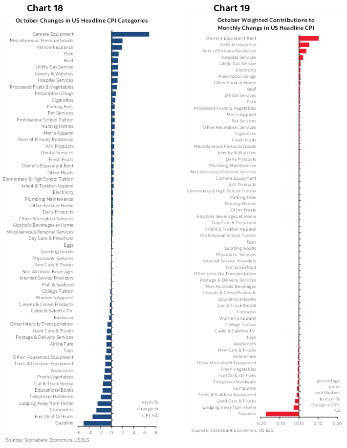Chart 18: October Changes in US Headline CPI Categories; Chart 19: October Weighted Contributions to Monthly Change in US Headline CPI