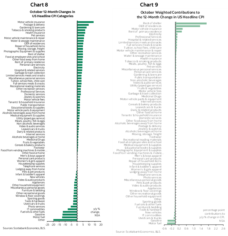 Chart 8: October 12-Month Changes in US Headline CPI Categories; Chart 9: October Weighted Contributions to the 12-Month Change in US Headline CPI 