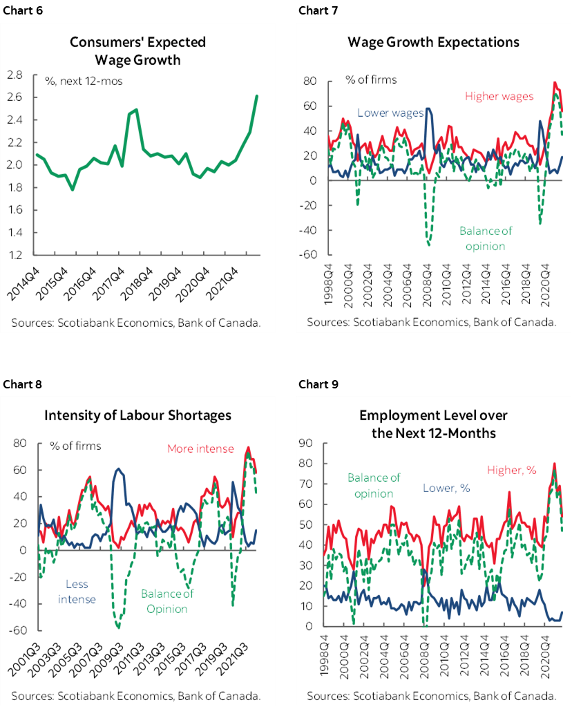 Chart 6: Consumers' Expected Wage Growth; Chart 7: Wage Growth Expectations; Chart 8: Intensity of Labour Shortages; Chart 9: Employment Level over the Next 12-Months 