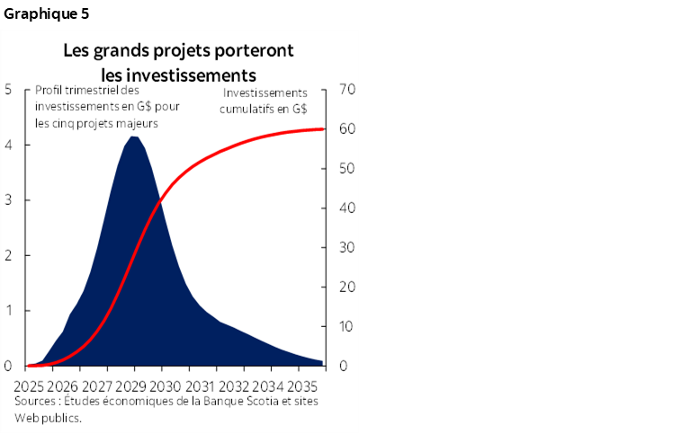 Graphique 5 : Les grands projets porteront les investissements