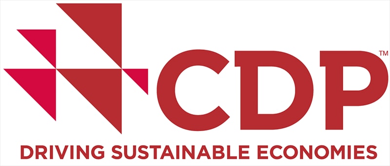 Logotipo de la CDP  Disclosure Insight Action
