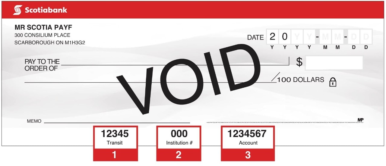 void cheque example