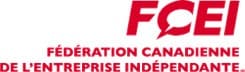 Logo_CFIB