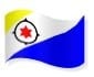 Bonaire flag.